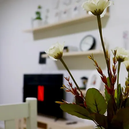 Euonia 아파트 티라나