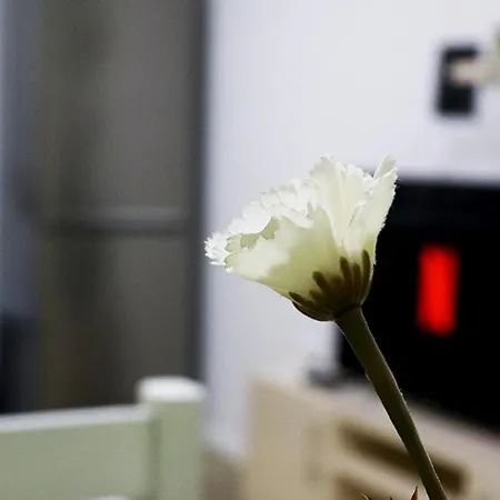 Euonia Apartment