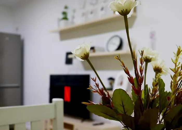 Euonia 아파트 티라나